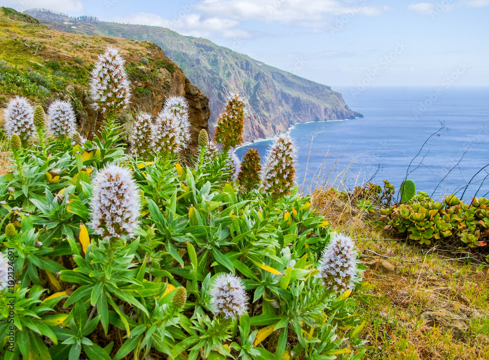 Sticker Island named Madeira