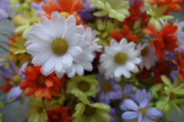 Fototapeta premium bouquet of various daisy flowers