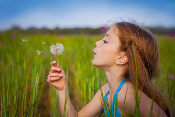 little girl blowing dandelion - 102124832