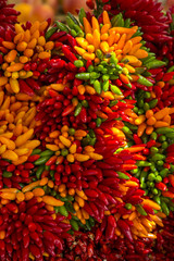 Paprika / Chili Chilischoten Bund