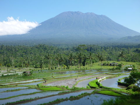 Mount Agung, wunderschöne Reisfelder auf Bali, Indonesien, im Hintergrund der aktive Vulkan Gunung Agung