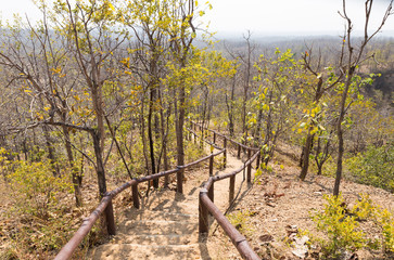 Fototapeta premium stair to go up and down the hill