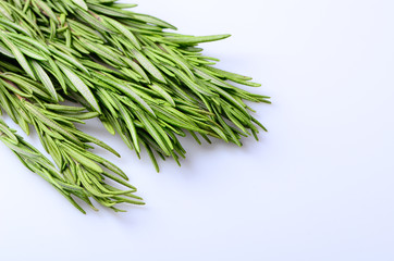 sprigs of rosemary on a white background