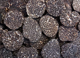 Foto op Aluminium sliced black truffes © luca manieri