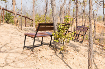 wooden bench on the hill in forest