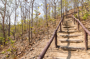 stair to go up and down the hill
