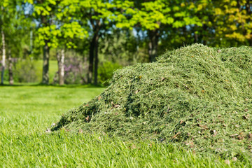 pile of cut grass in park