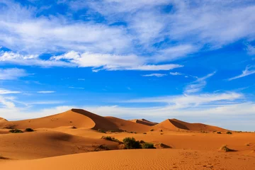  Sahara Desert, Morocco © Mieszko9