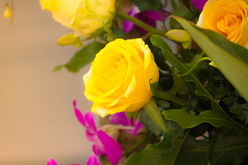 beautiful background with flowers roses