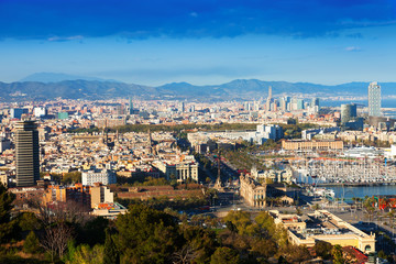 Fototapeta na wymiar Barcelona from Montjuic in day time. Spain