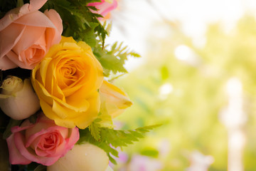 beautiful background with flowers roses