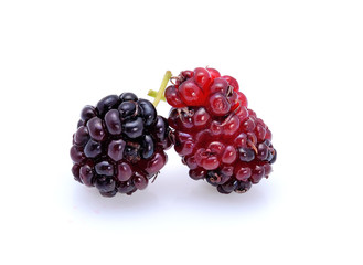 Mulberry isolated on white background