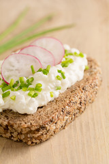 Eine Scheibe Brot bestrichen mit Cottage Cheese, Schnittlauch und Radieschen