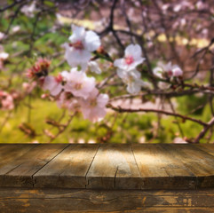 Naklejka na ściany i meble wooden rustic table in front of spring white cherry blossoms tree. vintage filtered image. product display and picnic concept 
