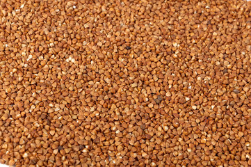 Buckwheat isolated on white backgrounds