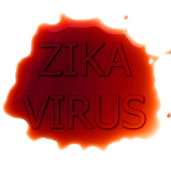  ZIKA virus