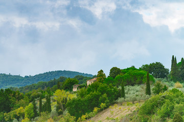 Fototapeta na wymiar Fields in Tuscany