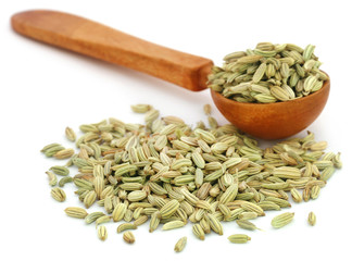 Fennel seeds in a wooden spoon © Swapan