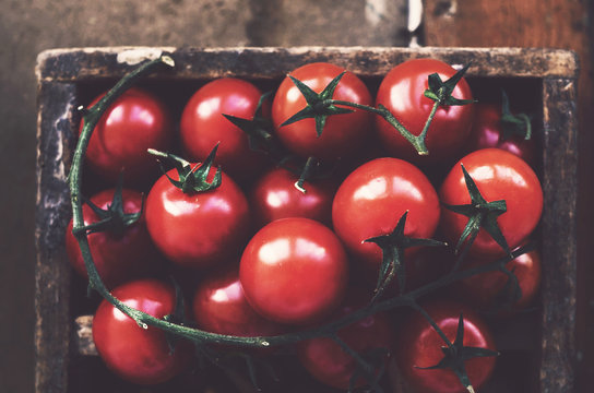 Ripe cherry tomato branch in wooden crate