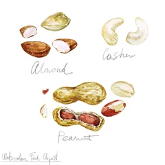 Foto op Canvas Watercolor Food Clipart - Nuts © nataliahubbert