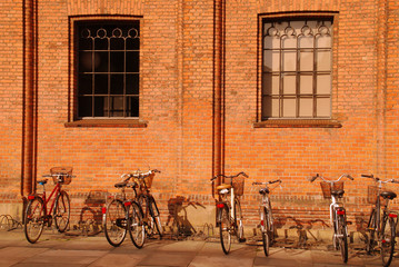 Kopenhagen - Fahrräder als beliebtes Fortbewegungsmittel in Kopenhagen - obrazy, fototapety, plakaty