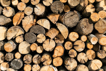 round cuts of firewood in a woodpile