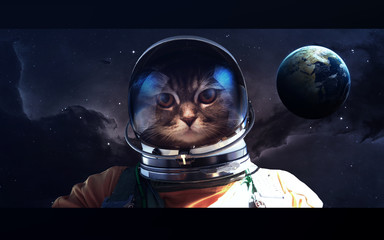 Nebula and stars in deep space, glowing mysterious universe. Elements of this image furnished by...