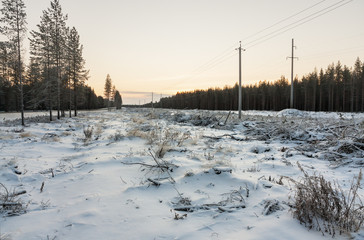  Power line in winter at dawn
