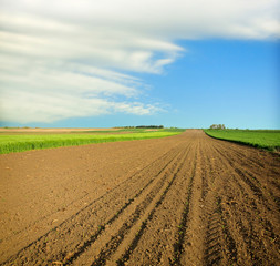 Plowed field in spring time © Željko Radojko
