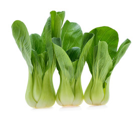 Bok choy (chinese cabbage) isolated on white