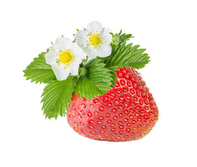 Strawberry over white background