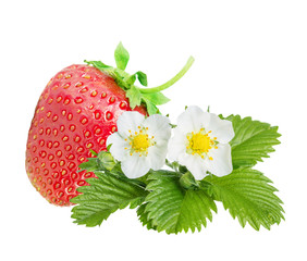 Strawberry over white background
