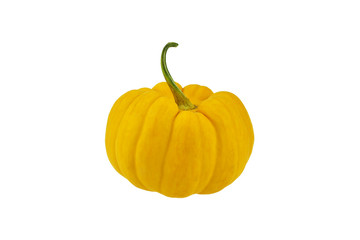 pumpkin isolated on white background