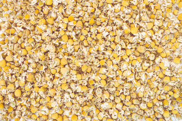 chamomile dried flowers full frame background