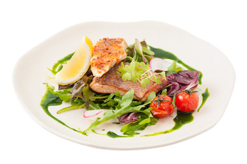 Modern style salmon steak