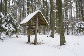 Karmik dla saren i jele © Piotr Szpakowski