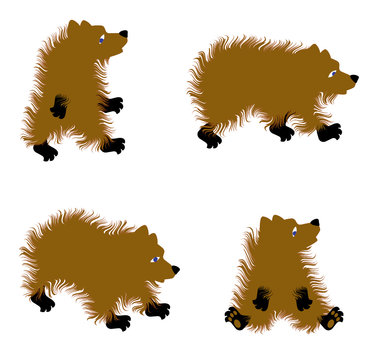 Set of different bears. Vector illustration.