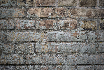 Old brick wall, vintage style background image