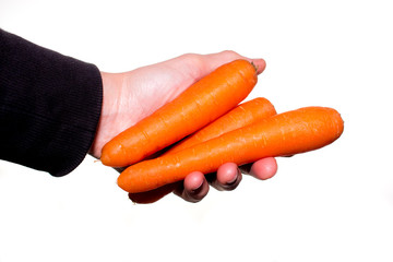 a hand holding a bunch of carrots