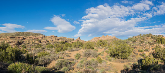Brush and Rocks in Mojave Desert