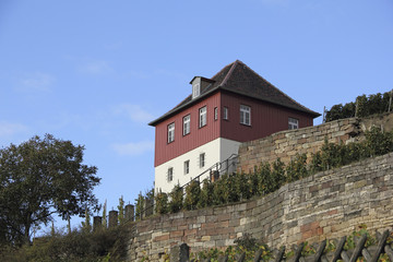 Fototapeta na wymiar Weinberg und Landhaus am Blütengrund in Großjena