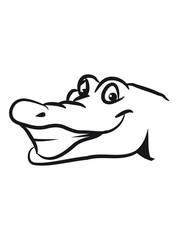 head crocodile funny naughty