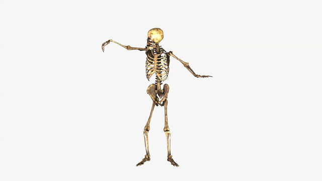 Halloween skeleton dancing on white background