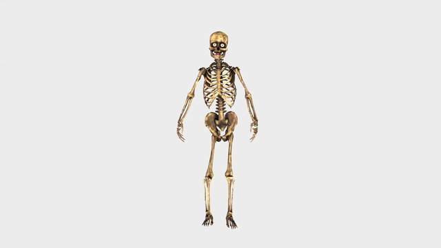 Halloween skeleton hip hop dancing, skeleton isolated on white background