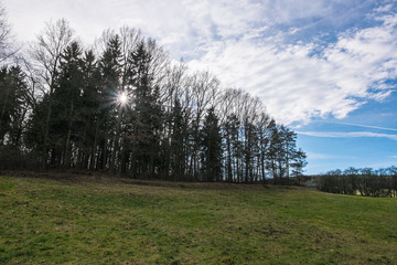 Obraz premium Landschaft im Frühjahr