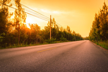 Obraz premium The road between Pine trees at sunset. Selective focus.
