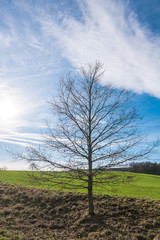 Landschaft im Frühjahr