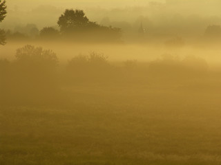 Wiese im Nebel bei Sonnenaufgang