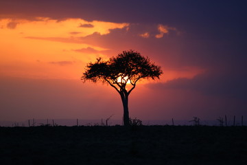 Fototapeta na wymiar African sunset