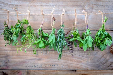 Photo sur Plexiglas Aromatique Assorted hanging herbs ,parsley ,oregano,mint,sage,rosemary,swee